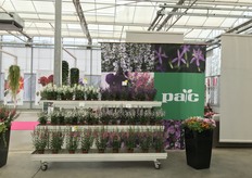 More varieties of PAC.